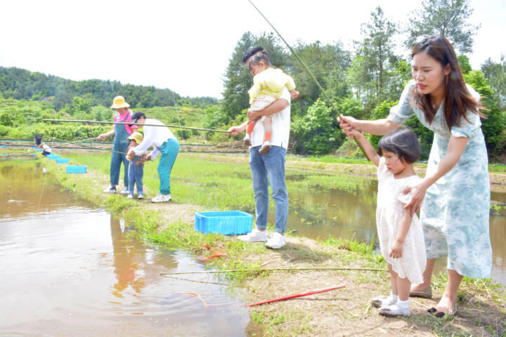 永康稻渔综合种养模式让游客乐享田园时光