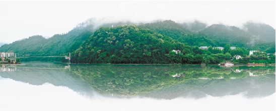 7259616_133737.jpg 7259616_133737.jpg