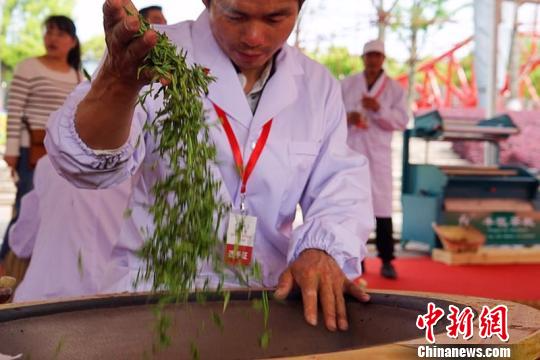 第三届千岛湖斗茶大会中，炒茶师傅表演炒茶技艺。　沈心悦 摄