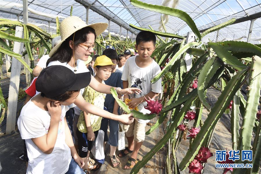 #（教育）（3）田间课堂 乐享暑假