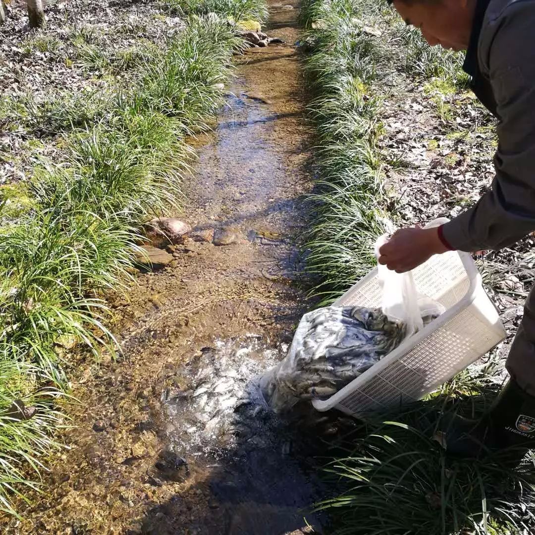 央视致富节目_2020央视致富经_致富经央视