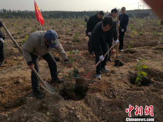 众志成城铺新绿浙江柯城“一村万树”化身致富典范