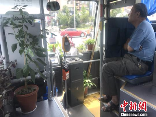 浙江衢州公交车变身移动花园：在车里寻找诗和远方