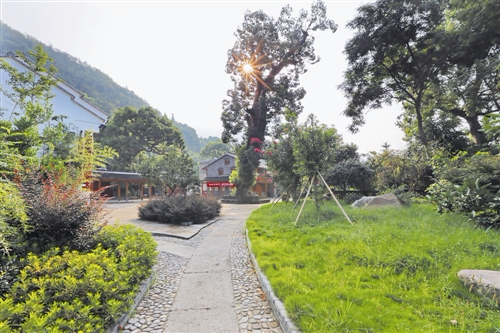 黄岩屿头乡:800年前"宋韵"今重现