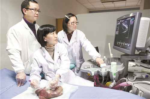 超声界女医者——记浙江省五一劳动奖章获得者殷平